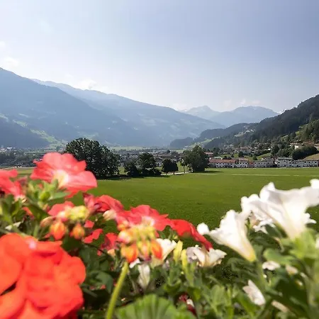 Pension*** Wiesenhof 3*